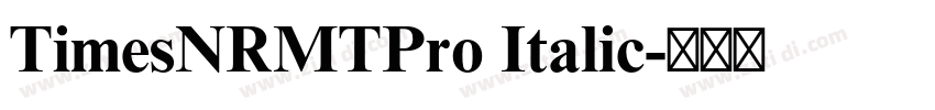 TimesNRMTPro Italic字体转换